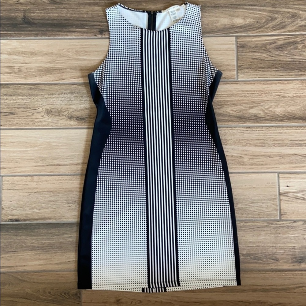 Max Studio Dress